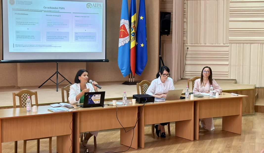 Panel discussion: three women seated at a long table with laptops and microphones, projector screen displaying slides, and flags in the background.