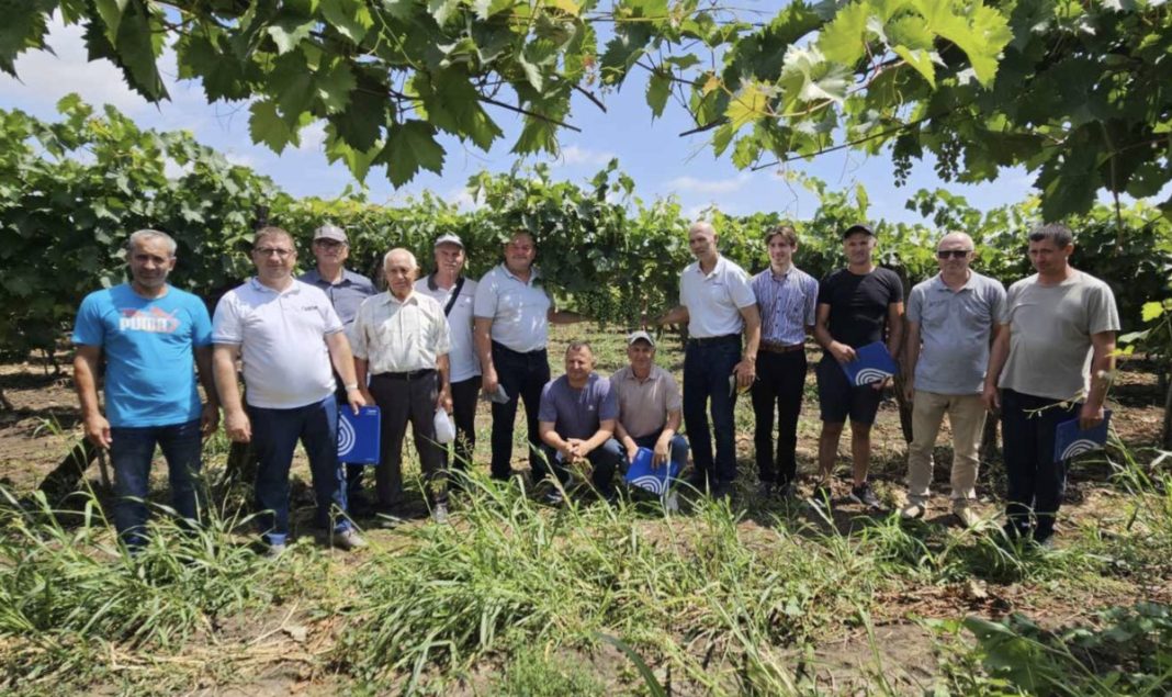Group of men standing in a vineyard, some holding blue folders, posing for a photo under grapevines on a sunny day.