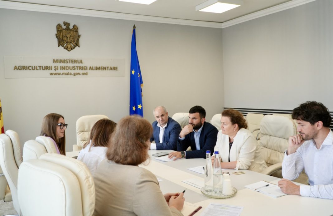 Officials in a formal meeting room of Moldova's Ministry of Agriculture and Food Industry, seated around a large conference table with documents, as the European Union flag stands nearby.